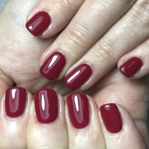 Bio Gel | Bio Sculpture | Gemini