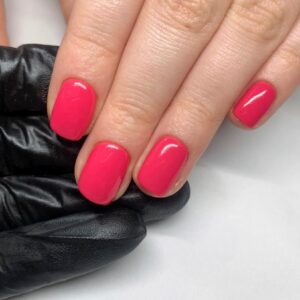 EVO | Bio Sculpture