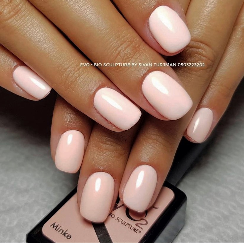 EVO | Bio Sculpture