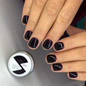 Gel colorat No. 255 Knights Armour