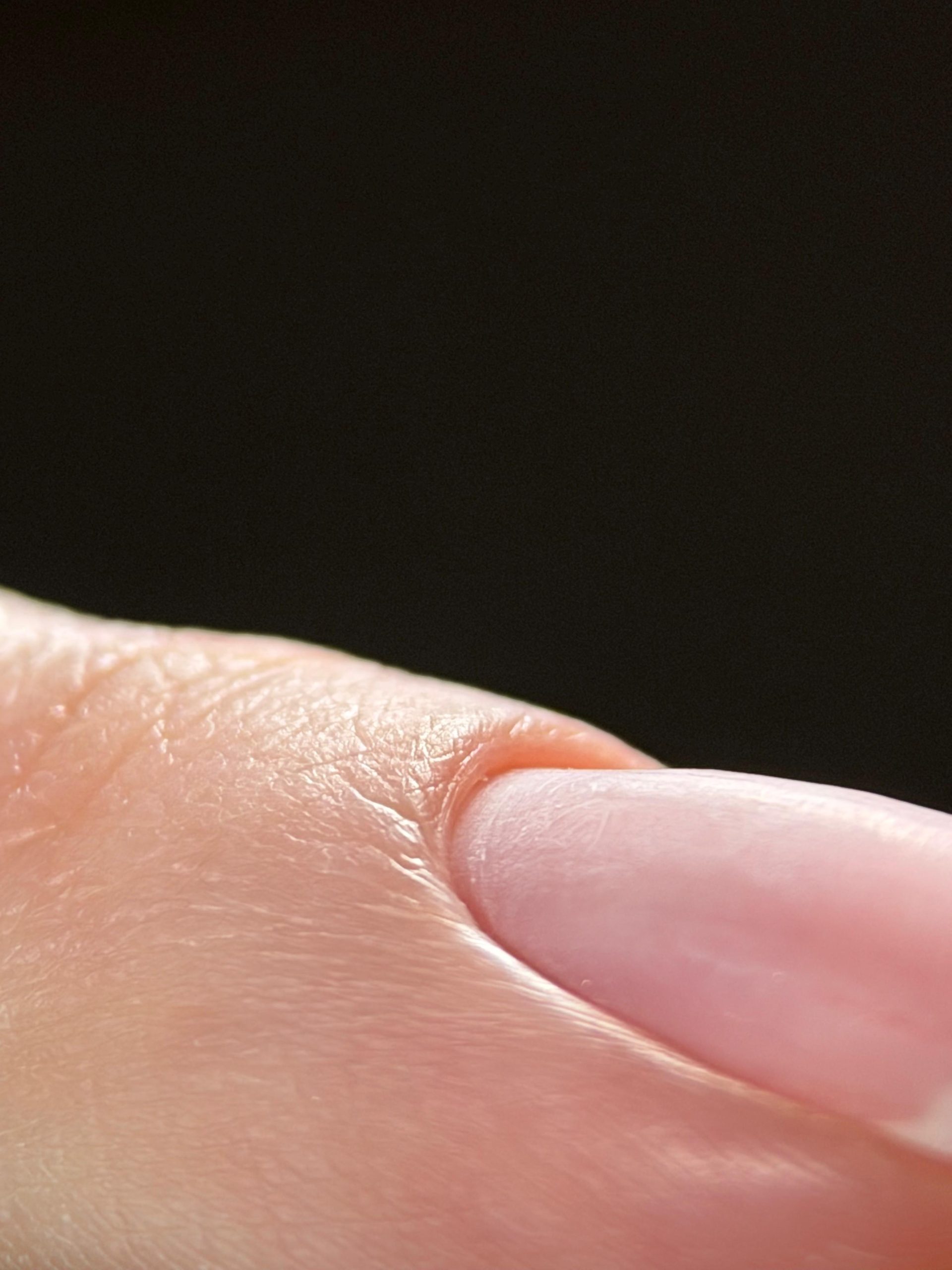 WhatsApp Image 2025-12-07 at 12.22.00 (1)